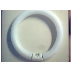 Tube Fluorescent circular Round 32 watt warm white T9. 4 Pin G10q