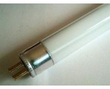 Fluorescent Tubes T2 T4 T5 Smilight and Colour